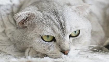 九游娱乐APP-【比赛总结】胜负背后隐藏的战术智慧，比赛有胜负的下一句