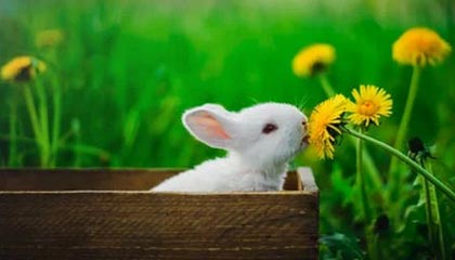 九游娱乐APP-【比赛总结】胜负背后隐藏的战术智慧，比赛有胜负的下一句