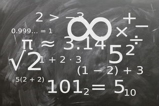 九游体育网页入口-中小学体育教师教学技能提升研究，中小学体育教学的基本技能