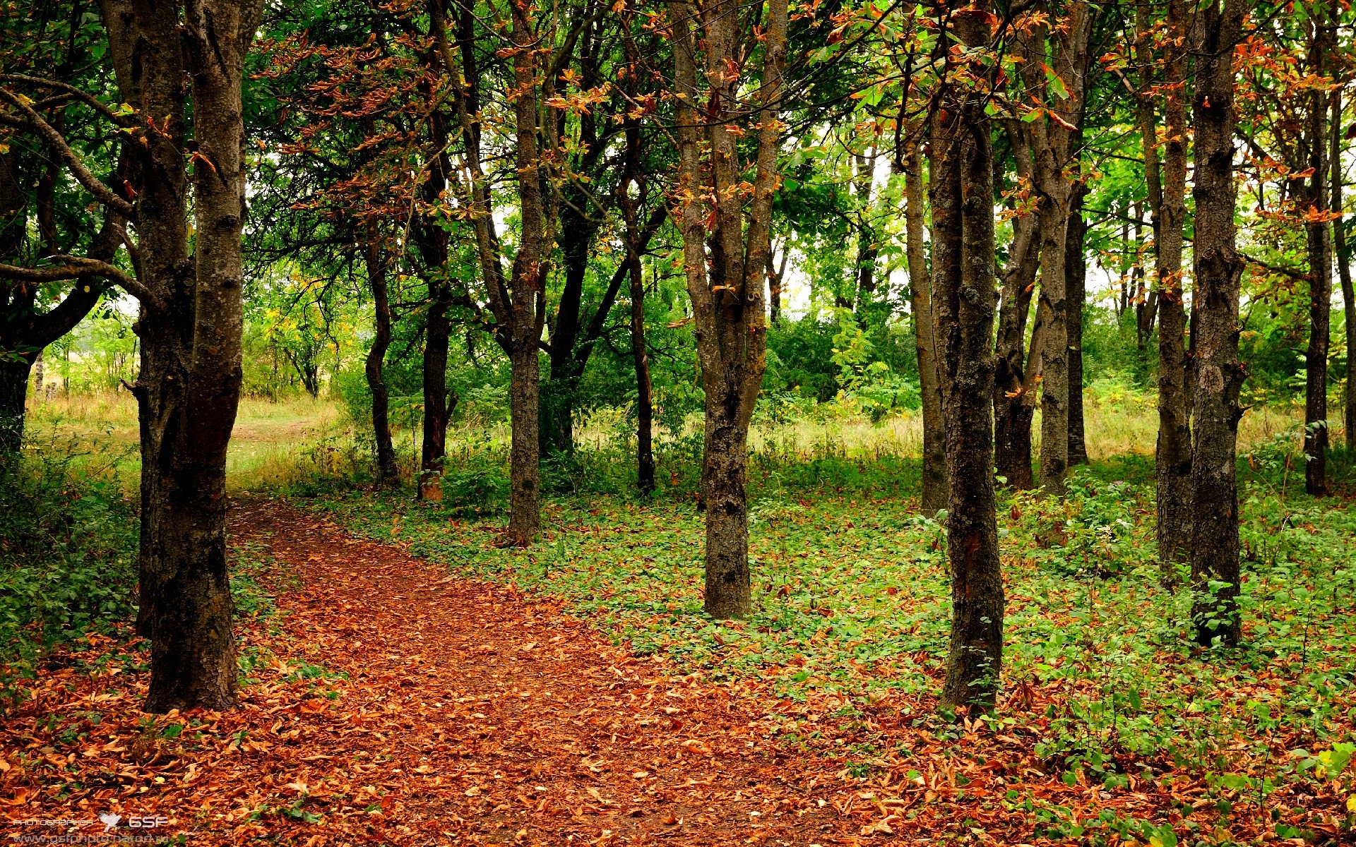 九游体育线上-体育新闻中心协办体育新媒体技术应用研讨会，体育与新媒体融合发展研究
