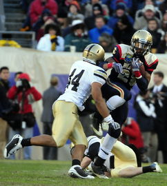 九游注册-美队教练盛赞年轻选手状态，美队年纪
