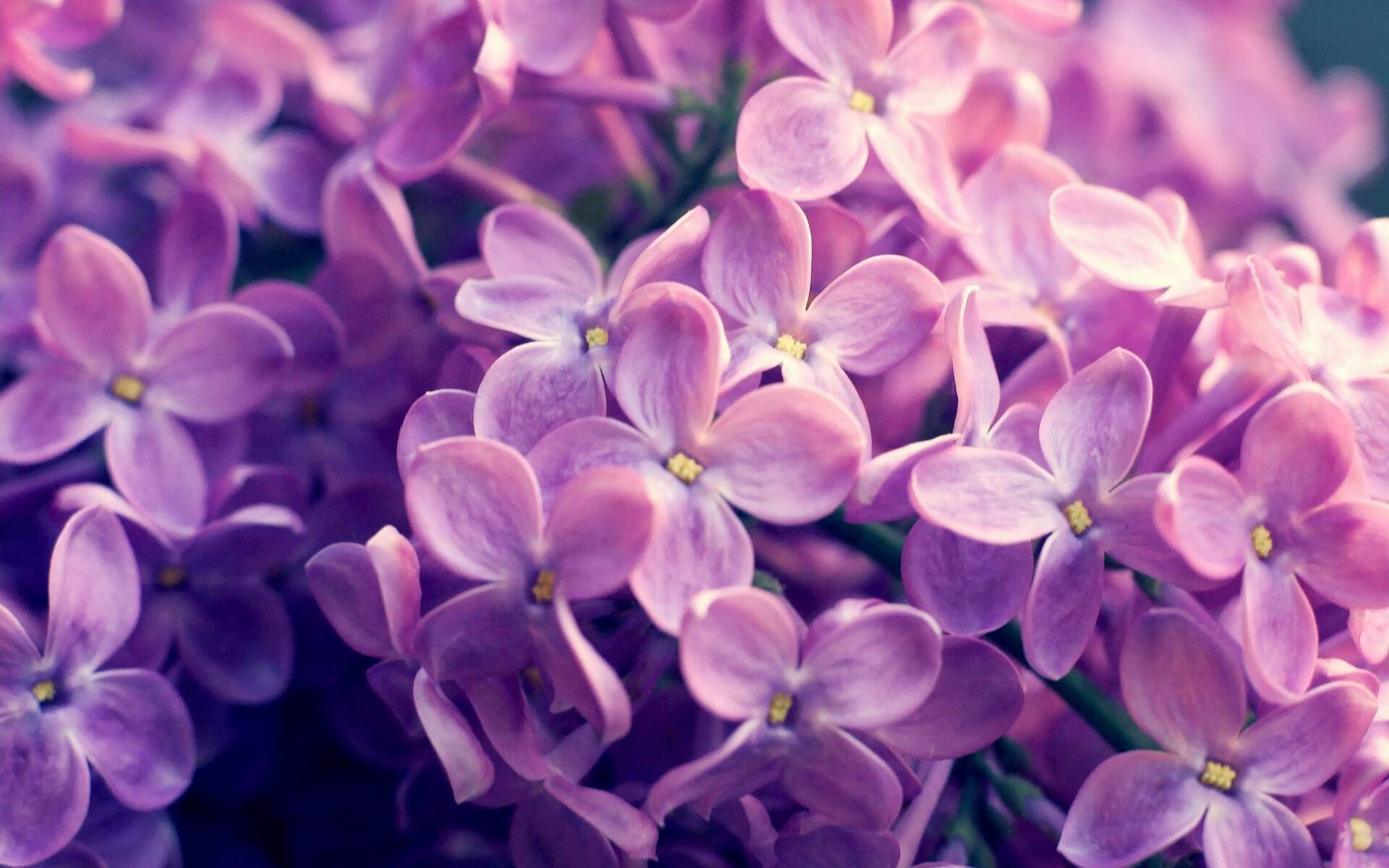 九游体育网页登陆-伊朗男篮在亚洲预赛中奋勇争先，目标奥运梦在望，伊朗男篮联赛