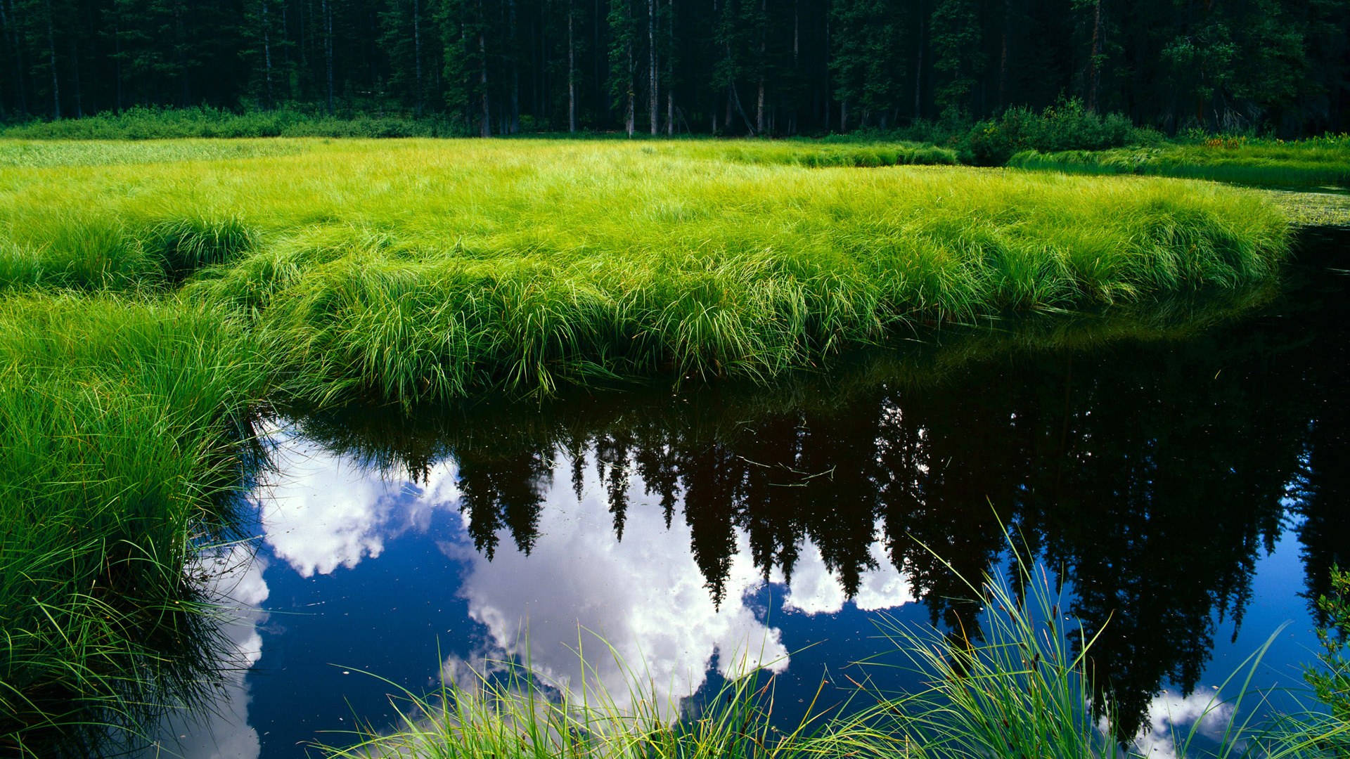 新闻中心提醒全民健身活动报名截止时间,全民健身系列活动