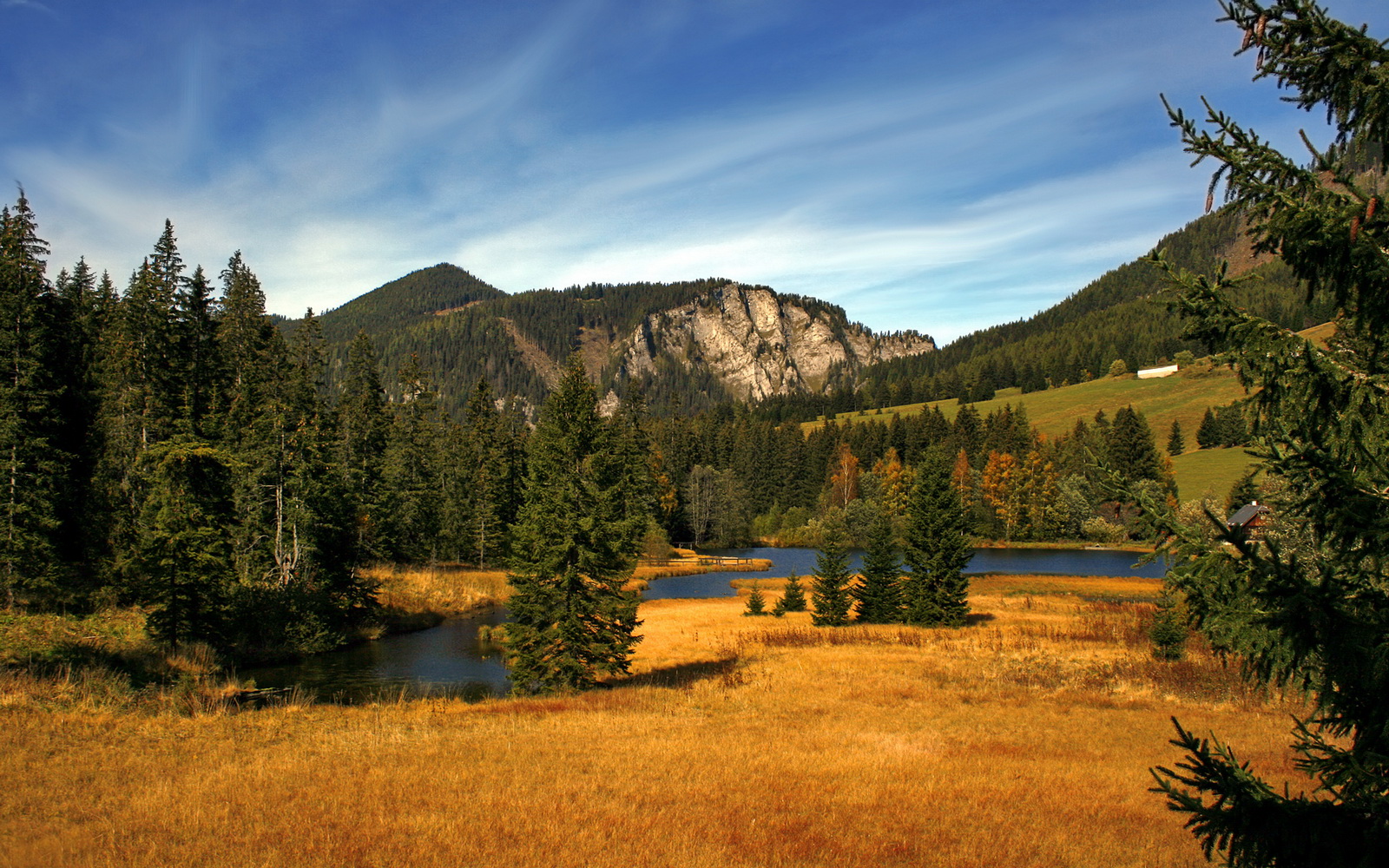 自由泳冲刺摩纳哥展现速度优势