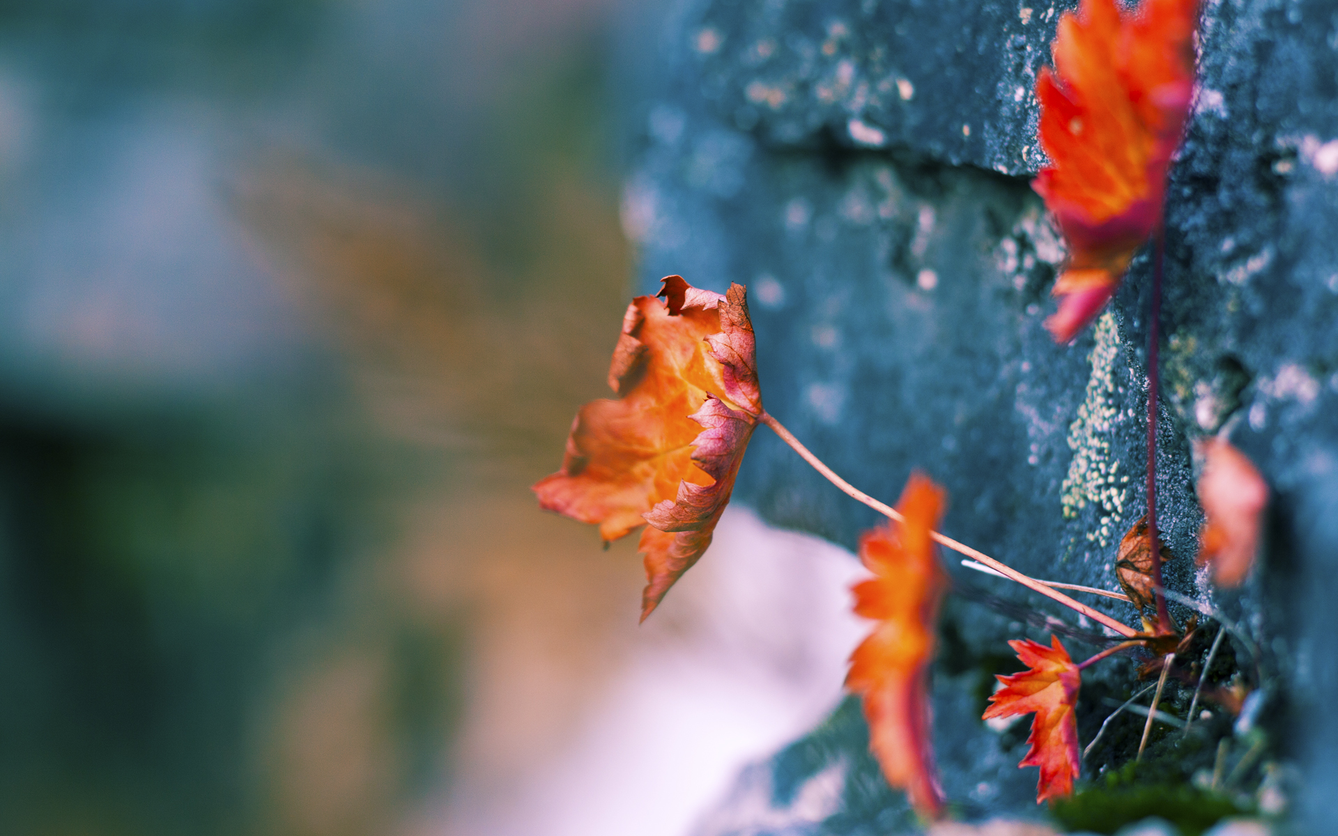 英超冲刺极限:胜负只在一瞬间!,英超prizm choice