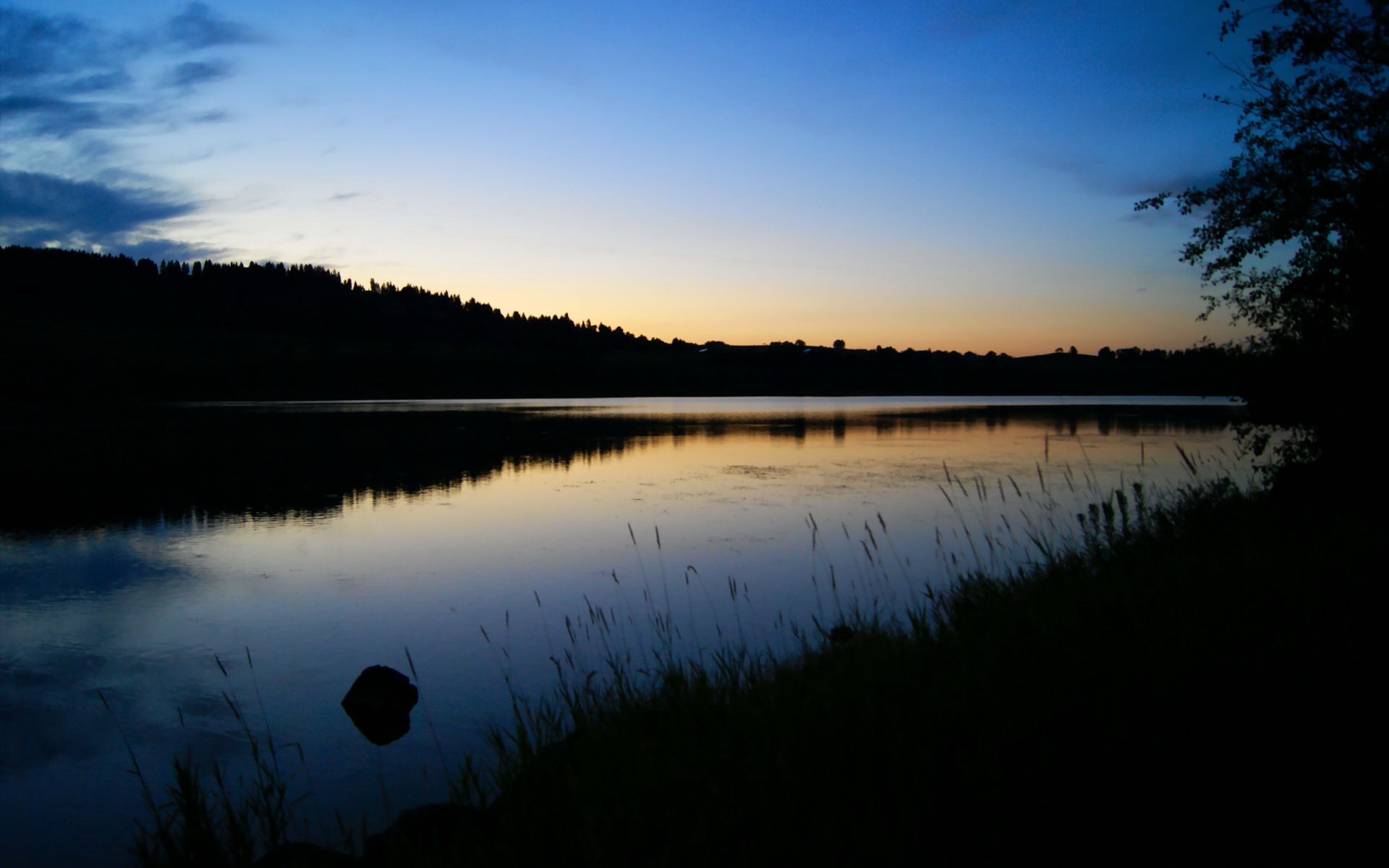 九游体育网页登陆-萨默·麦金托什蝶泳决赛展现绝佳爆发力，麦金托什游泳