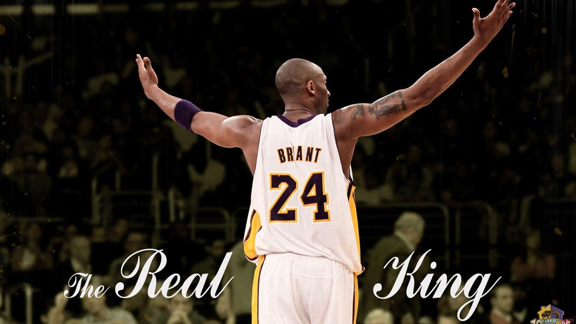 看点预告：下一场焦点战役全面预览